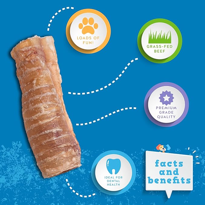 Jack&Pup 6" Beef Trachea for Dogs 20 Pack | All Natural Single Ingredient Dog Treat Dog Trachea Chews | Savory and Fun Treat for Dogs