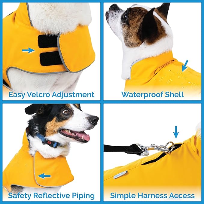 JAN & JUL Dog Rain Jacket (Yellow, Size: M)