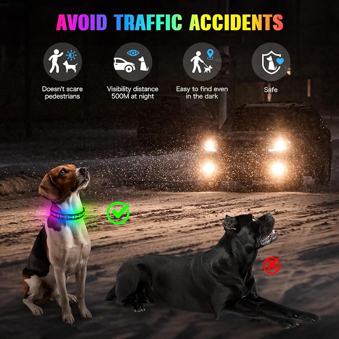 Flashseen LED Dog Collar Light up USB Rechargeable, 7-Color Glow, Grey, M