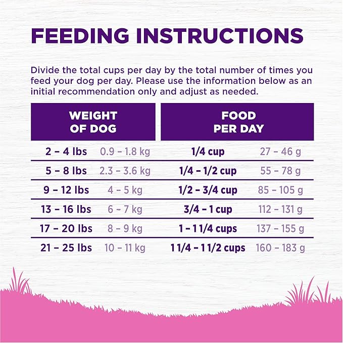 Wellness Complete Health Dry Dog Food for Small Dogs, Toy Breed, Wholesome Grains, Natural, Chicken, Brown Rice, & Peas Recipe, 4-Pound Bag