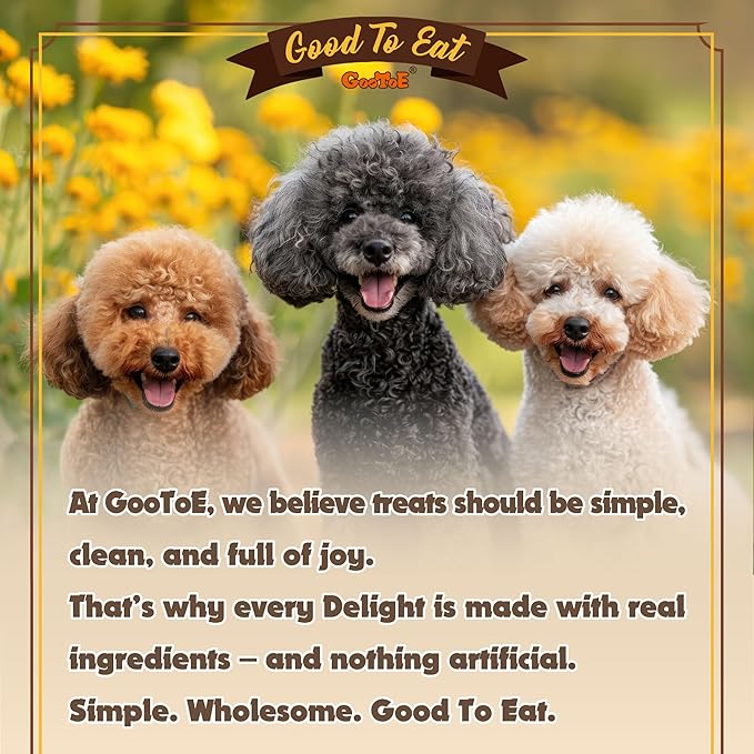 Gootoe Turkey Tendons for Dogs – All-Natural, Hypoallergenic Dog Treats, Rawhide Alternative, Long Lasting Puppy Chews, Healthy Dog Treats for Small Breeds, Rope (S), 16 oz Pack (1 lb)