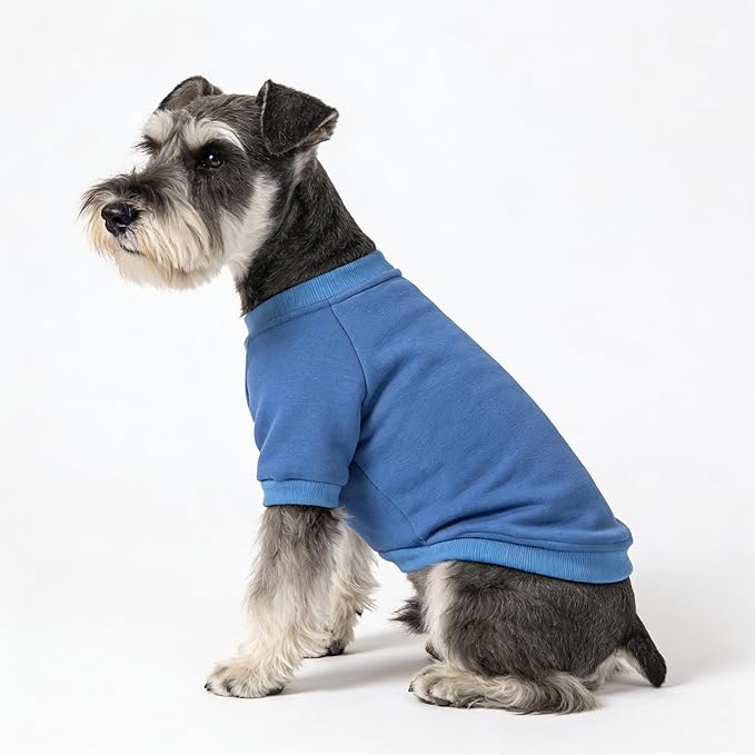 2 Pack Dog Hoodie for Small Dogs, Dog Sweatshirt Soft Warm Pullover Dog Clothes with Ribbed Cuffs for Schnauzer/Poodle/Chihuahua (Blue+Purple, X-Large)