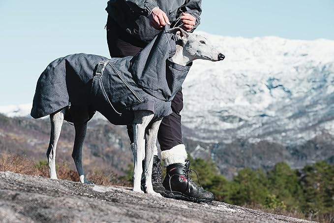 Hurtta Expedition Parka, Winter Dog Coat, BlackBerry, 22 in