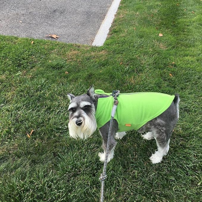 Gooby - Zip Up Fleece Vest, Fleece Jacket Sweater with Zipper Closure and Leash Ring, Lime, Medium
