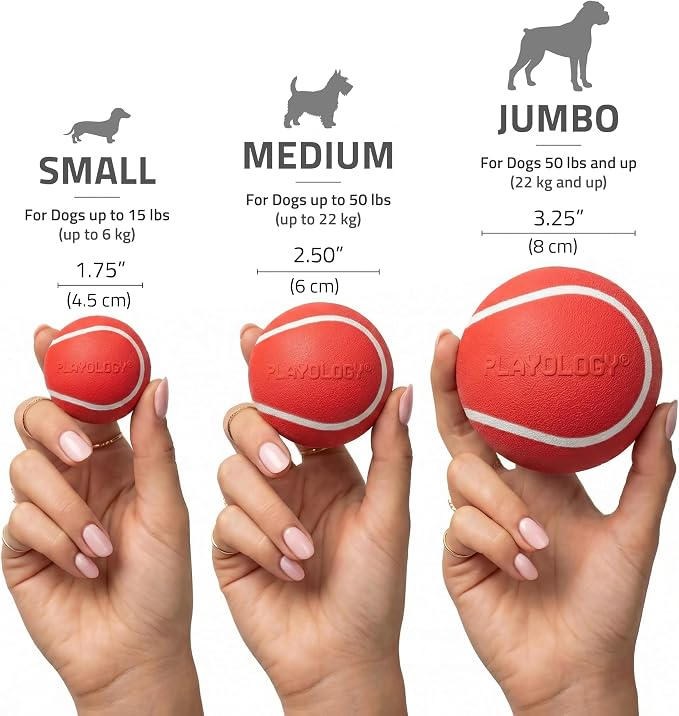 Playology Squeaky Chew Ball Dog Toy - Small, Beef Scent, 3-Pack