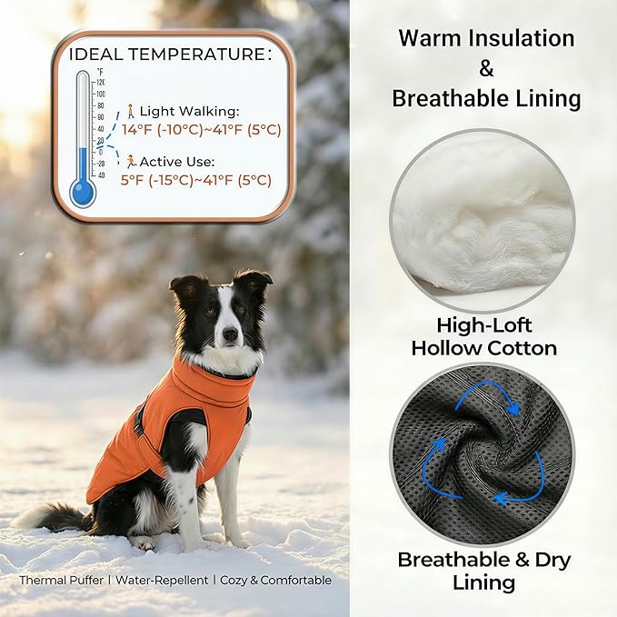 Ultra-Warm Dog Winter Coat for Hiking & Running, Adjustable Puffer Jacket with Anti-Slip Leg Straps, Water-Repellent Shell & Breathable Mesh Lining for Active Dogs (Aurantium, X-Small)
