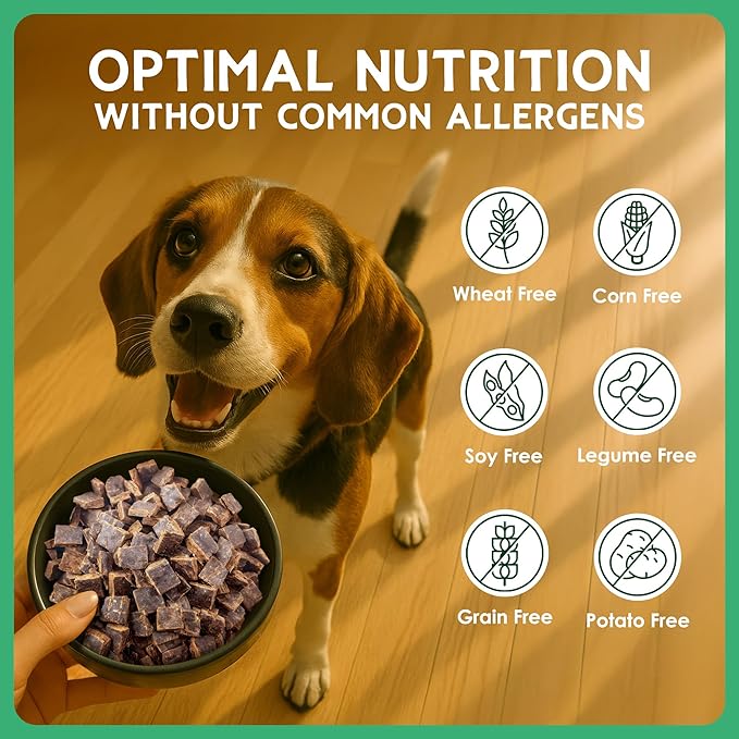 Farmland Traditions The Good List Air-Dried Dog Food, Premium Beef & Bone Broth for Dogs, Protein Rich & Grain-Free Nutrition, 1 Pound Bag