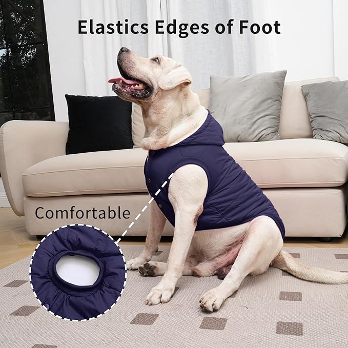 Fleece Lining Extra Warm Dog Hoodie in Winter for Small Dogs Jacket Puppy Coats with Hooded,Blue M