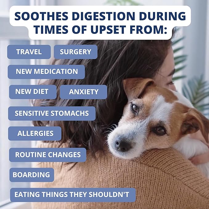 Under the Weather Bland Diet for Dogs | Easy to Digest for Sick Dogs |Always Be Ready| Contains Electrolytes - All Natural Freeze Dried 100% Human Grade Meats| 6 Pack- Rice Turkey & Sweet Potato - 6oz