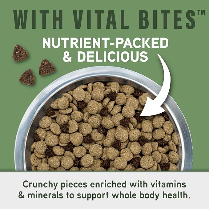 Natural Balance Specialized Nutrition Dry Dog Food with Lamb and Oatmeal for Dogs, Digestive & Immune Health Food, Natural Ingredients with Added Vitamins & Minerals - 22 lbs