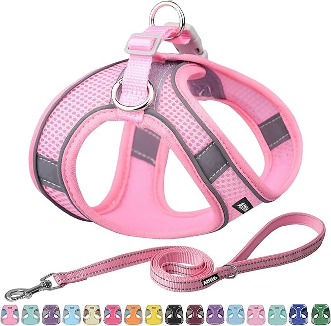 AIITLE No Pull Dog Harness and Leash Set, Step in Adjustable Dog Harness with Padded Vest for All Weather, Dog Leash with Soft Padded Handle, Easy to Put on Small and Medium Dogs Pure Pink S