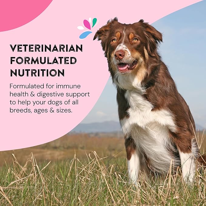 Hip & Joint Supplements for Dogs | Probiotic & Prebiotic Benefits with Wild Salmon Omega 3s to Help Your Dog Reach New Heights | All Breeds and Sizes | 120 Count