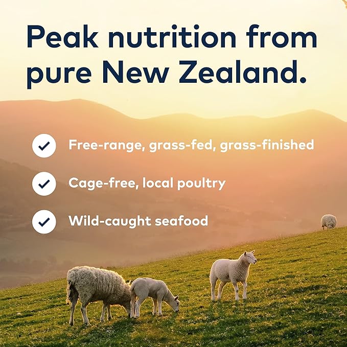 ZIWI Peak Air-Dried Dog Food – Beef - All Natural, High Protein, Grain Free, Limited Ingredient w/Superfoods (3.5oz) (Pack of 2)