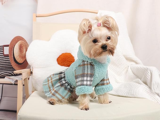 Dog Hoodie Dog Sweater Puppy Clothes for Small Dogs Boy Girl Pet Hoodies for Dogs Cold Weather Doggie Coats Fall Doggy Sweatshirt for Chihuahua Yorkie Cat Sweater Costumes, XXS, Green