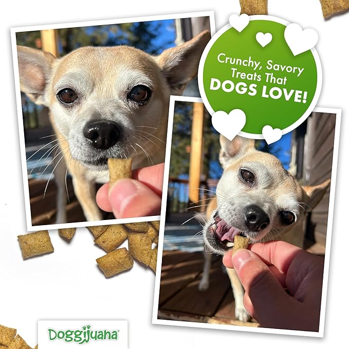 Doggijuana Calming Dog Treats - Peanut Butter 6oz Resealable Pouch - Helps Pets Chill - No Corn, Wheat, or Soy - with Catnip, Chamomile & L-Tryptophan to Support Relaxation