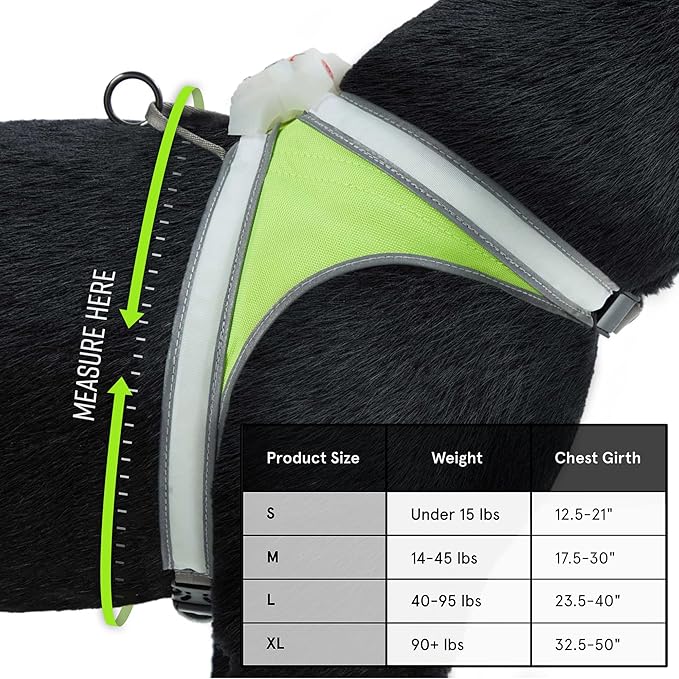 Noxgear LightHound (Small) + High-Visibility Dog Leash – Illuminated and Reflective Harness for Dogs Including Multicolored LED Fiber Optics (USB Rechargeable, Adjustable, Lightweight, Rainproof)