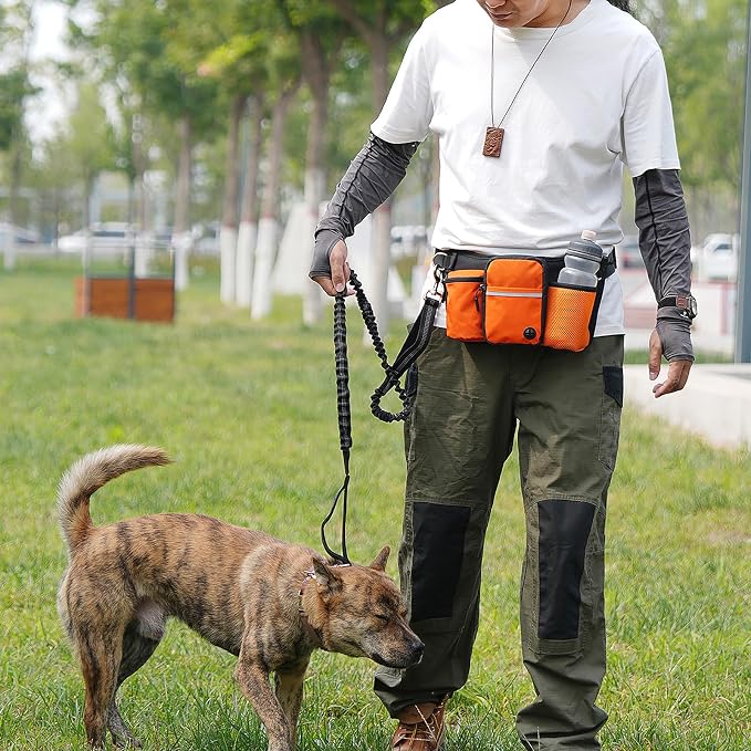 Hands Free Dog Leash Waist Pack with Bungee & Treat Pouch Oxford Water-Resistant Multi-Pocket Belt for Walking Hiking Jogging and Dog Walking (Grey)