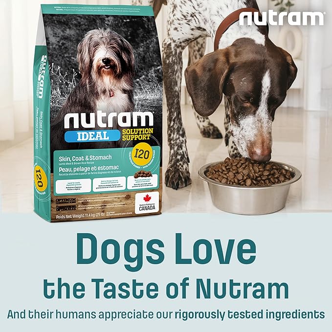 I20 Lamb Dog Food with Brown Rice - Skin, Coat & Sensitive Stomach Dog Food with Pumpkin, Omega-3 Rich Salmon Oil & Rosemary For Shiny Coat & Immunity - Chicken Free Kibble For Adults (4.4 lbs)