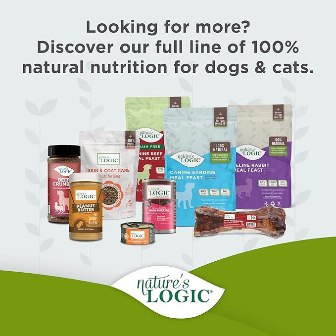 NATURE'S LOGIC Dry Dog Food - 100% Natural - No Synthetics - for All Ages, Sizes, Breeds - Free from Common Allergens, High Protein - Pork Meal Feast, 13lbs