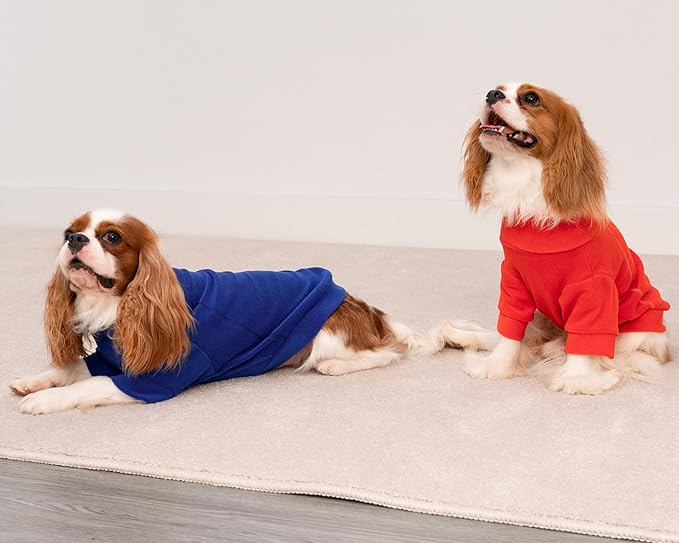 Fitwarm 3 Pack Classic Fleece Dog Sweater, Winter Clothes for Small Dogs Boy Girl, Turtleneck Dog Sweatshirt, Pet Apparel, Orange Red, Royal Blue, Neon Yellow, XL