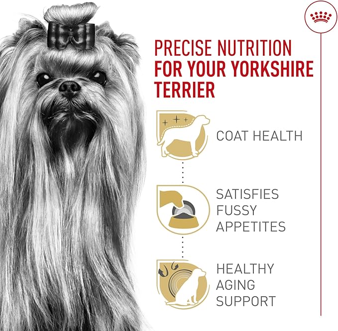 Royal Canin Breed Health Nutrition Yorkshire Terrier Adult Dry Dog Food, 10 lb Bag