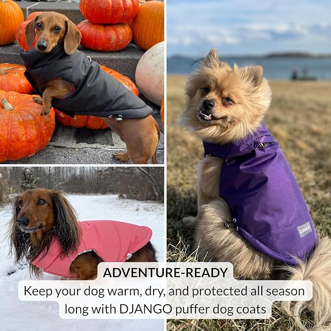 DJANGO Puffer Dog Coat – Warm Winter Dog Jacket & Water-Repellent Insulated Puffer Vest with Striped Lining, Harness Hole, Adjustable Fit for Small & Medium Dogs, Dachshunds – Rose Petal Pink, X-Small