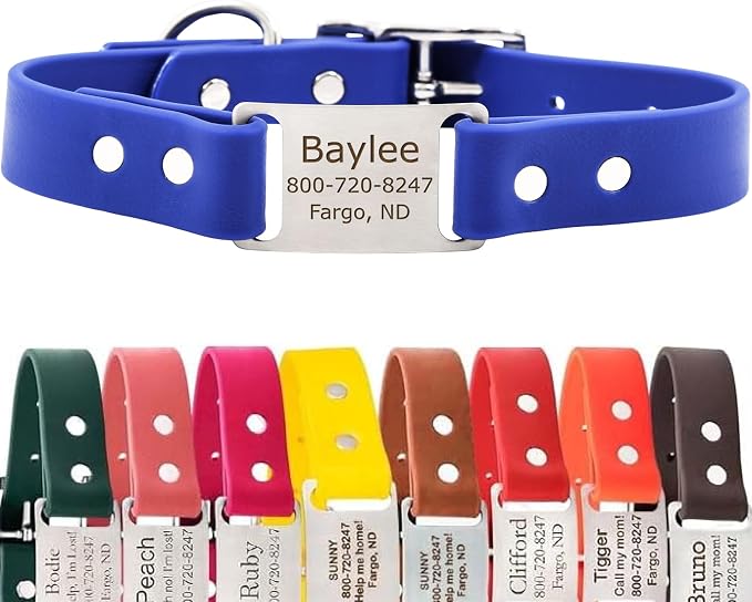 dogIDs Personalized Dog Collar – ScruffTag Custom Waterproof Biothane Dog Collar with Laser-Engraved Name, Durable & Odor-Resistant – USA Made | Blue, 5/8 in x 12 in (Fits Neck Sizes 11-13 in)