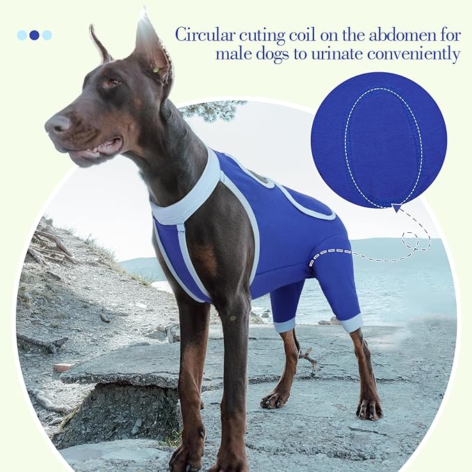 ROZKITCH Dog Surgery Leg Sleeve Rear Legs, Male Female Pet Prevent Licking Wound Elbow Knee Protector, Dog Recovery Suit Cone Collar Alternative Pants Shirt for Wound Heal Wrap Blue M