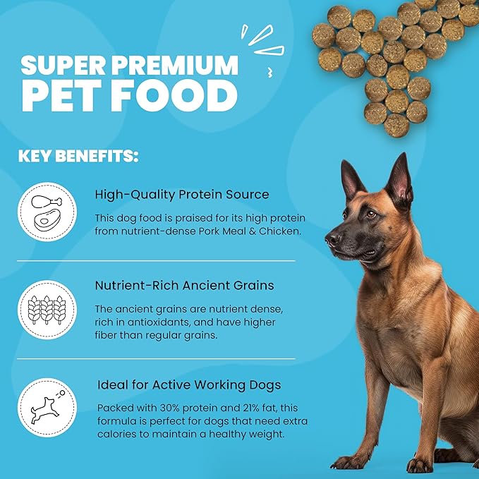 Muenster Ancient Grains Chicken & Pork Dry Dog Food, 4lb - Gluten-Free, High Protein, Digestive Support