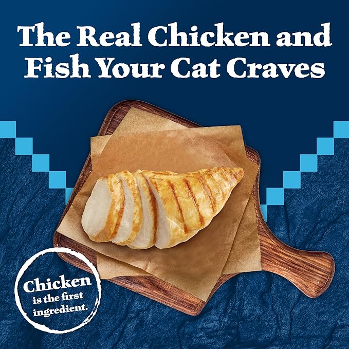 Blue Buffalo Wilderness Wild Delights Meaty Morsels Wet Cat Food, High-Protein & Grain-Free, Made with Natural Ingredients, Chicken & Trout Recipe in Tasty Gravy, 3-oz. Cans (24 Count)