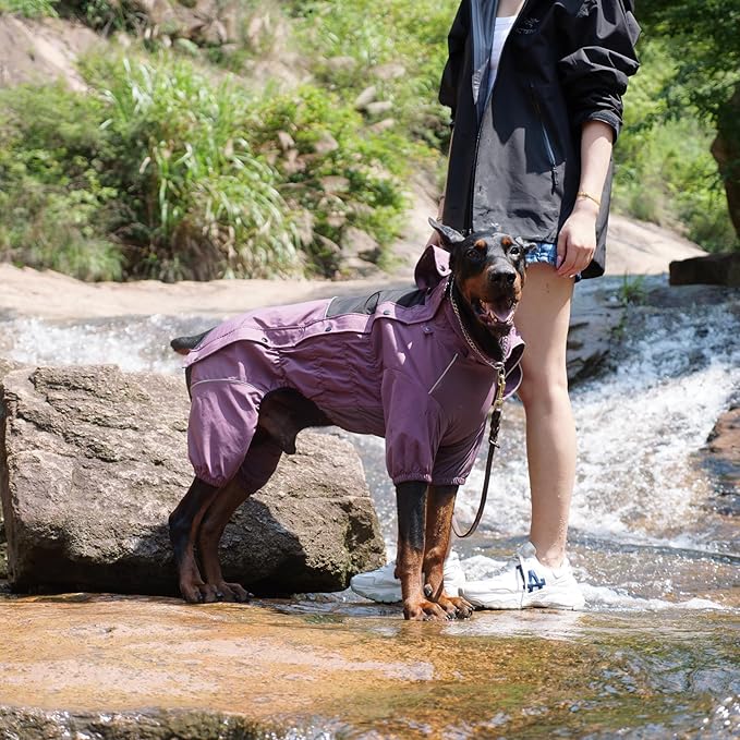 LOVELONGLONG Waterproof Dog Raincoat with Removable Hood – Outdoor Full Body Dog Jacket, Windproof Snowproof Shell Suit – All Season Pet Rain Gear Plum Purple S+
