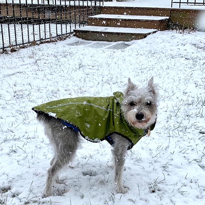 Mile High Life Dog Raincoat, Adjustable Waterproof Reflective Rain Jacket for Small Medium Large Dogs, Lightweight Breathable Pet Rain Coat with Leash Hole(Lime Yellow,XS Chest 17-23")