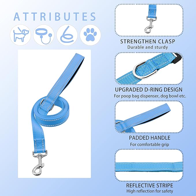 Reflective Dog Collar with Safety Locking Buckle, Adjustable Soft Breathable Nylon Collars for Small, Medium and Large Dogs(Collar+Leash S Width 5/8" Sky Blue)