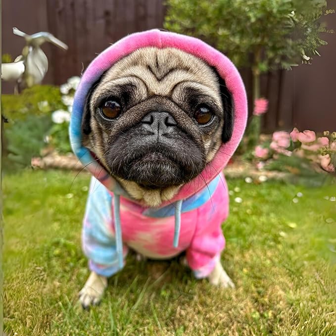 Spark Paws Dog Hoodie – Premium Dog Sweater for Small, Medium, and Large Dogs | Warm Outfits for French Bulldogs, Pitbull, Puppy, Winter Jacket Alternative - Snow Cone - XL