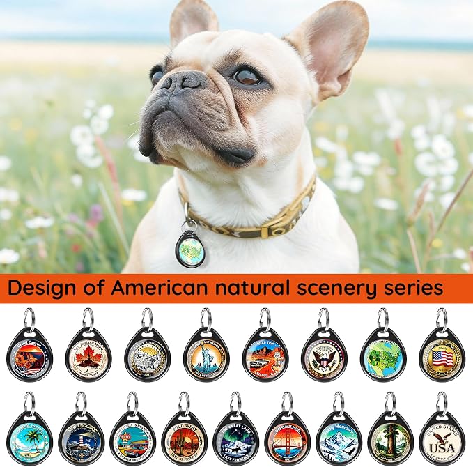 QR Code Dog Tags Personalized for Pets, Real-time Alerts, Cactus