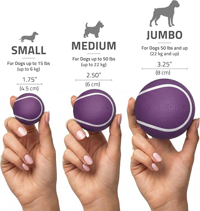 Playology Squeaky Chew Ball Dog Toy - Jumbo, Bacon Scent