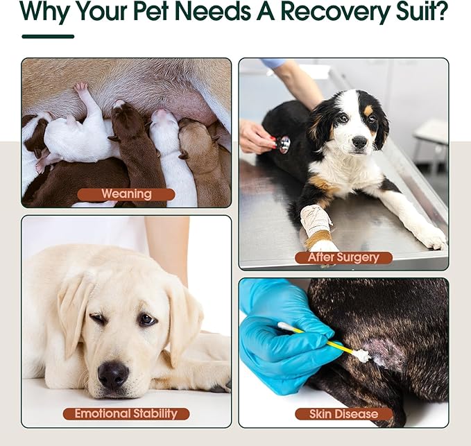 Kuoser Dog Surgery Suit - Female Spay & Male Neuter Recovery Onesie, Anti-Licking Abdominal Wounds Pet Surgical Recovery Bodysuit, Substitute E-Collar & Cone