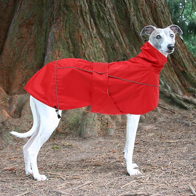 Greyhound Lurcher Raincoat, Whippet Rain Gear with Reflective Bar, Rain/Waterproof, Adjustable Bands and Drawstring in Autumn and Winter - Red - XS