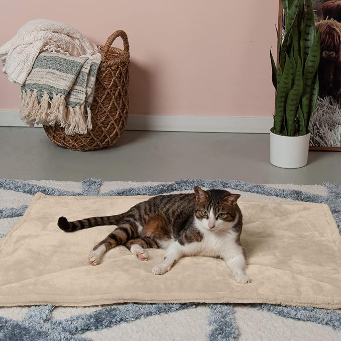 Furhaven ThermaNAP Self-Warming Cat Bed for Indoor Cats & Large/Medium Dogs, Washable & Reflects Body Heat - Quilted Faux Fur Reflective Bed Mat - Cream, Large