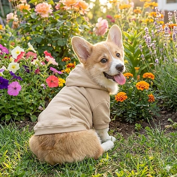 Personalized Dog Hoodie, Custom Name Text Hoodie for Dog, Pet Clothes Warm Winter Dog Outfit 4