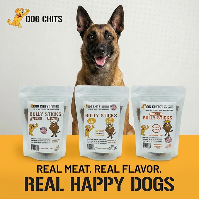 Dog Chits 6 inch Bully Sticks for Dogs & Puppies - 100% Beef Pizzle, High Protein, Low Fat Dog Chew Sticks - Baked, Low-Odor – Long-Lasting Chew, Keep Dogs Engaged & Happy - Made in USA - 20 Pack