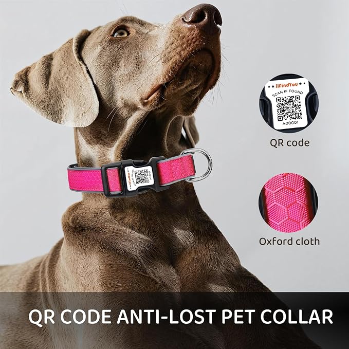 Personalized Dog Collar with QR Code Dog Tag, Oxford Rose Red L | Anti-lost, Oxford, reflective, padded, XS-L(8"-24"), QR buckle shares lost pet profile, location alerts when scanned, No Fees