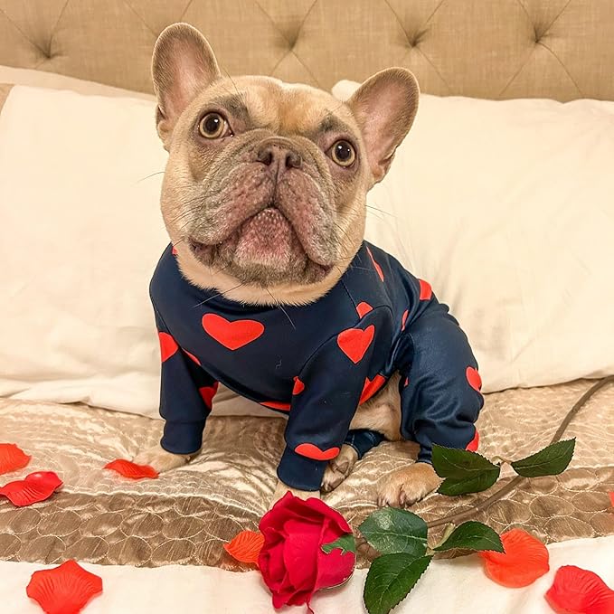 Spark Paws Dog Pajama, Dog Recovery Suit Male, Onesie, Ultra-Soft and 4-Way Stretch, for Small Medium and Large Breeds - Hearts - 3XL