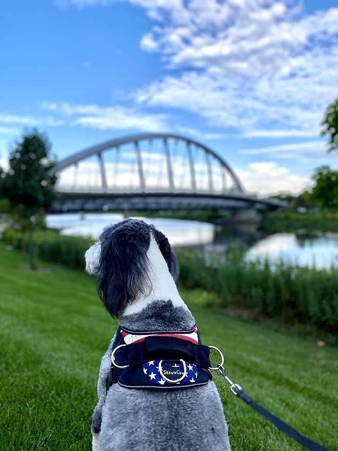 ShawnCo Essential Dog Harness, No-Pull Pet Vest with 3 Leash Clips, No Choke, Reflective, Adjustable and Padded, for Easy Walking and Training for Small, Medium and Large Dogs (Stars and Stripes, XS)