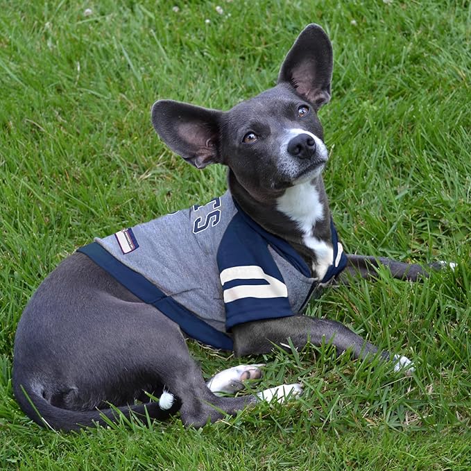 Pets First NFL Indianapolis Colts Hoodie for Dogs & Cats. | NFL Football Licensed Dog Hoody Tee Shirt, Medium| Sports Hoody T-Shirt for Pets | Licensed Sporty Dog Shirt