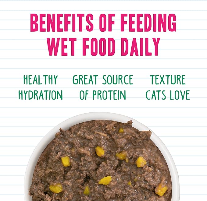 Weruva BFF Minced Natural Wet Cat Food, Tuna and Pumpkin Valentine in Gravy, 5.5oz Can, Pack of 24