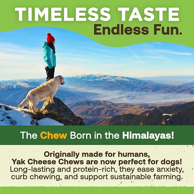 EcoKind Premium Gold Yak Cheese Himalayan Dog Chews, Healthy Dog Treats for Small Dogs, All Natural, High Protein Dog Chew, Cheese, Small - 8 Chews