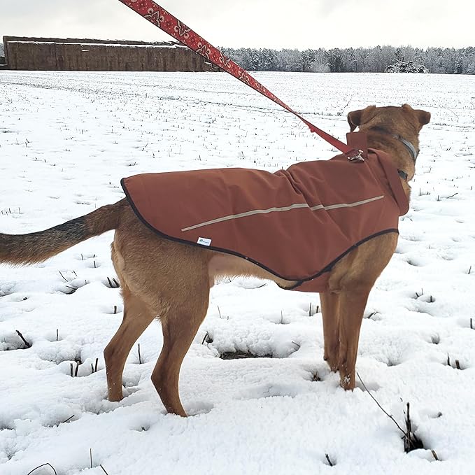 Mile High Life Dog Raincoat, Adjustable Waterproof Reflective Rain Jacket for Small Medium Large Dogs, Lightweight Breathable Pet Rain Coat with Leash Hole(Brown,XXS Chest 16-19")