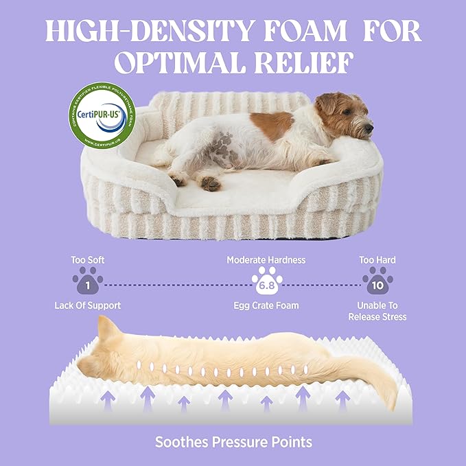 LE SURE Cute Dog Beds Large Sized Dog, Orthopedic Waterproof Large Pet Bed with Sides, High Back Non-Slip Bottom and Egg-Crate Foam Pet Couch Sofa with Washable Removable Cover, Beige