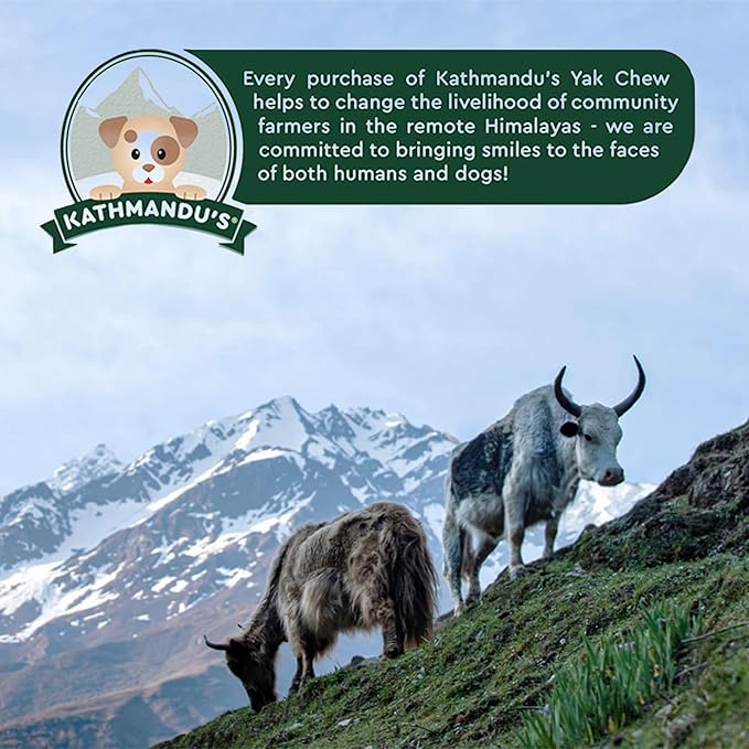Authentic Himalayan Yak Cheese for Dogs - Large/XLarge (Pack of 4) - Sourced from Pristine Himalayan Foothill, Rawhide-Free, NO preservatives